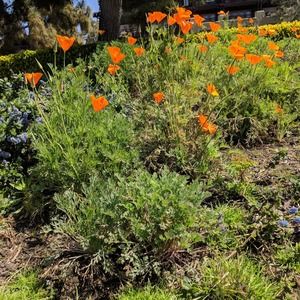 Meet your Posher, Johnita